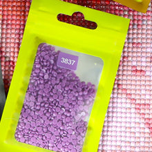 Load image into Gallery viewer, 50pcs DIY Diamond Painting Tools Self Adhesive Bags for Craft Supplies Storage