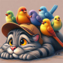 Load image into Gallery viewer, Diamond Painting - Full Round - Parrot Cat (40*40CM)