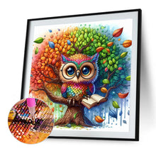 Load image into Gallery viewer, Diamond Painting - Full Round - Owl (30*30CM)