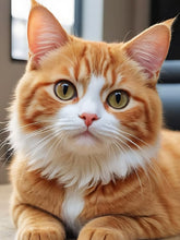 Load image into Gallery viewer, Diamond Painting - Full Round - Orange Cat (30*40CM)