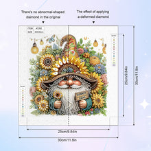 Load image into Gallery viewer, Diamond Painting - Partial Special Shaped - Summer Gnome (30*30CM)