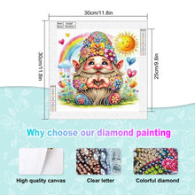 Load image into Gallery viewer, Diamond Painting - Partial Special Shaped - Summer Gnome (30*30CM)