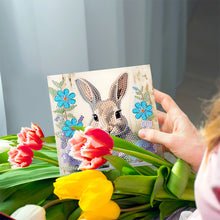 Load image into Gallery viewer, zsfasgvdf (HKDZ35)