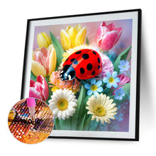 Load image into Gallery viewer, Diamond Painting - Full Round - Ladybug Tulip (40*40CM)