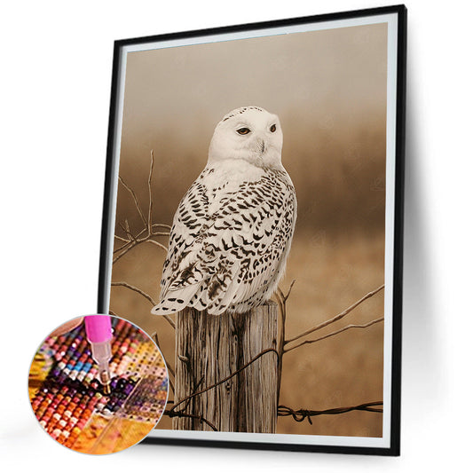Diamond Painting - Full Round - Owl (30*40CM)