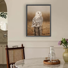 Load image into Gallery viewer, Diamond Painting - Full Round - Owl (30*40CM)
