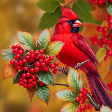 Load image into Gallery viewer, Diamond Painting - Full Round - Fernbird (40*40CM)