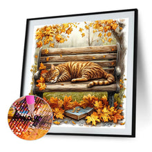Load image into Gallery viewer, AB Diamond Painting - Full Round - Autumn Kitten (40*40CM)