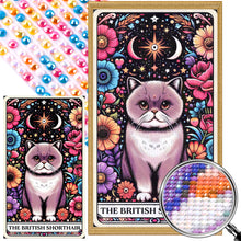 Load image into Gallery viewer, AB Diamond Painting - Full Round - British Shorthair Cat (40*70CM)