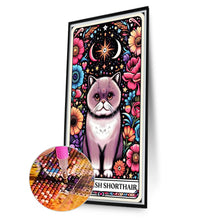 Load image into Gallery viewer, AB Diamond Painting - Full Round - British Shorthair Cat (40*70CM)