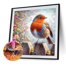 Load image into Gallery viewer, Diamond Painting - Full Round - Robin (40*40CM)