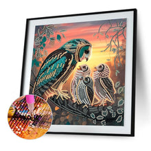 Load image into Gallery viewer, Diamond Painting - Partial Special Shaped - Owl (30*30CM)