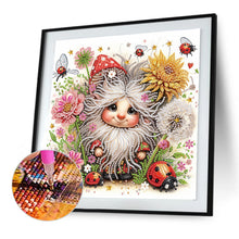 Load image into Gallery viewer, Diamond Painting - Partial Special Shaped - Ladybug Gnome (30*30CM)