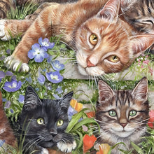 Load image into Gallery viewer, Diamond Painting - Full Round - Three Cats (40*40CM)