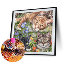 Load image into Gallery viewer, Diamond Painting - Full Round - Three Cats (40*40CM)
