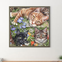 Load image into Gallery viewer, Diamond Painting - Full Round - Three Cats (40*40CM)
