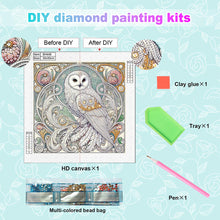 Load image into Gallery viewer, Diamond Painting - Partial Special Shaped - Owl (30*30CM)