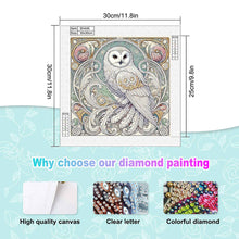 Load image into Gallery viewer, Diamond Painting - Partial Special Shaped - Owl (30*30CM)