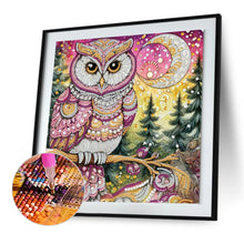 Load image into Gallery viewer, Diamond Painting - Partial Special Shaped - Owl (30*30CM)