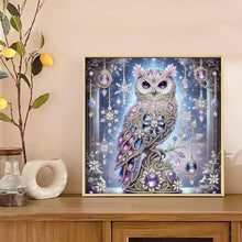 Load image into Gallery viewer, Diamond Painting - Partial Special Shaped - Owl (30*30CM)