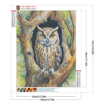 Load image into Gallery viewer, Diamond Painting - Full Round - Owl (40*40CM)