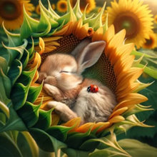 Load image into Gallery viewer, Diamond Painting - Full Round - Sunflower Bunny (40*40CM)