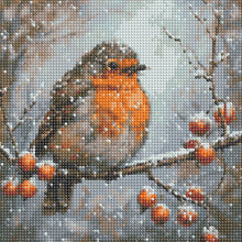Load image into Gallery viewer, Diamond Painting - Full Round - Robin (30*30CM)