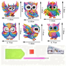 Load image into Gallery viewer, 6Pcs Acrylic 2D Flat Owls Diamond Painting Fridge Magnet for Fridge Whiteboard