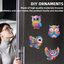 Load image into Gallery viewer, 6Pcs Acrylic 2D Flat Owls Diamond Painting Fridge Magnet for Fridge Whiteboard
