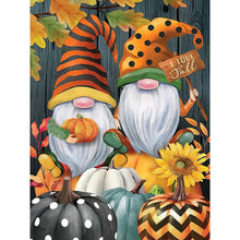 Load image into Gallery viewer, 2pcs Diamond Painting Set - holiday gnome (30*40CM)