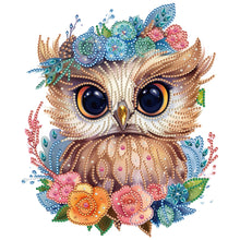 Load image into Gallery viewer, 6pcs Diamond Painting Set - owl (30*30CM)