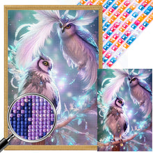 Load image into Gallery viewer, AB Diamond Painting - Full Round - long-browed owl (40*60CM)