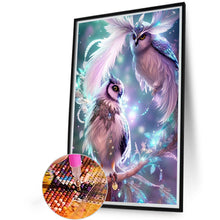 Load image into Gallery viewer, AB Diamond Painting - Full Round - long-browed owl (40*60CM)