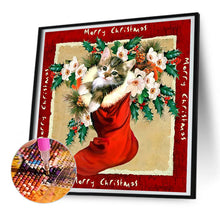 Load image into Gallery viewer, Diamond Painting - Full Round - christmas stocking cat (30*30CM)