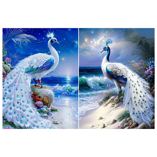 2pcs Diamond Painting Set - gorgeous peacock (30*40CM)