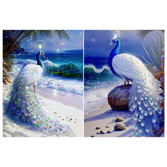 2pcs Diamond Painting Set - gorgeous peacock (30*40CM)