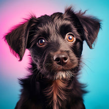 Load image into Gallery viewer, Diamond Painting - Full Round - pet puppy (40*40CM)