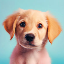 Load image into Gallery viewer, Diamond Painting - Full Round - pet puppy (40*40CM)