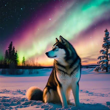 Load image into Gallery viewer, Diamond Painting - Full Round - Aurora snow wolf (40*40CM)