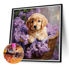 Load image into Gallery viewer, Diamond Painting - Full Round - golden retriever (40*40CM)