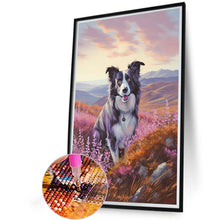 Load image into Gallery viewer, Diamond Painting - Full Round - Border Collie (40*60CM)