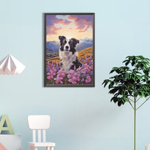 Load image into Gallery viewer, Diamond Painting - Full Round - Border Collie (40*60CM)
