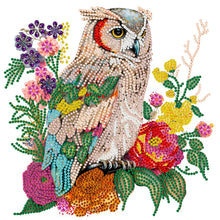 Load image into Gallery viewer, 4pcs Diamond Painting Set - parrot and owl (30*30CM)