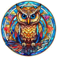 Load image into Gallery viewer, 4pcs Diamond Painting Set - owl glass painting (30*30CM)