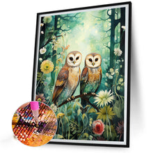 Load image into Gallery viewer, Diamond Painting - Full Round - forest owl (40*50CM)