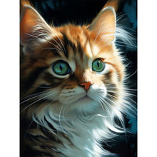 Load image into Gallery viewer, AB Diamond Painting - Full Square - cat cat (30*40CM)