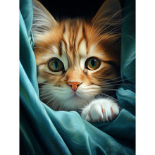 Load image into Gallery viewer, AB Diamond Painting - Full Square - cat cat (30*40CM)