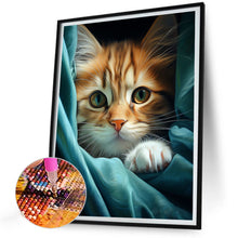 Load image into Gallery viewer, AB Diamond Painting - Full Square - cat cat (30*40CM)