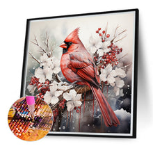Load image into Gallery viewer, Diamond Painting - Full Round - cardinal on tree branch (40*40CM)