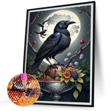 Load image into Gallery viewer, AB Diamond Painting - Full Square - crow (30*40CM)